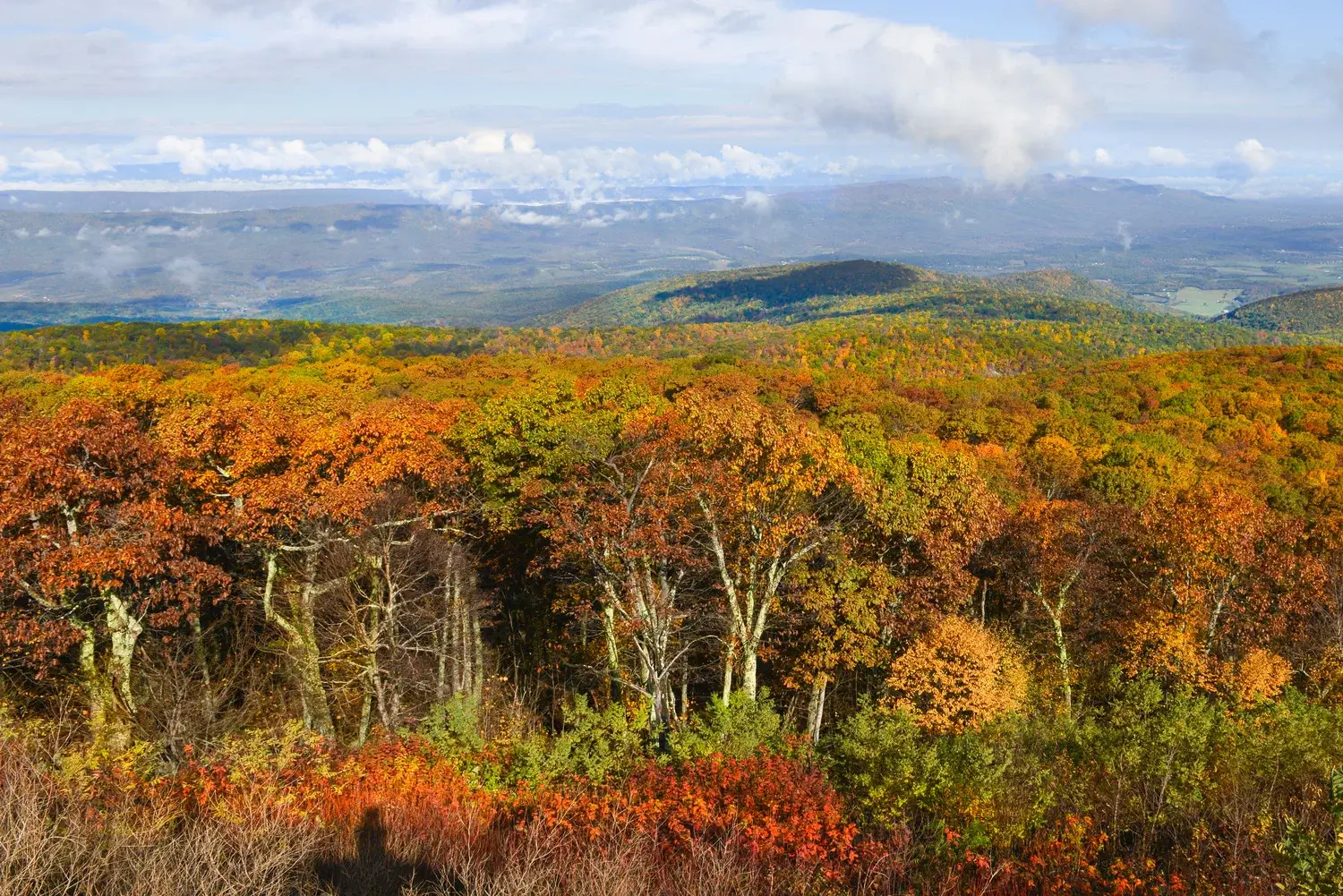 Rockingham County Property Management