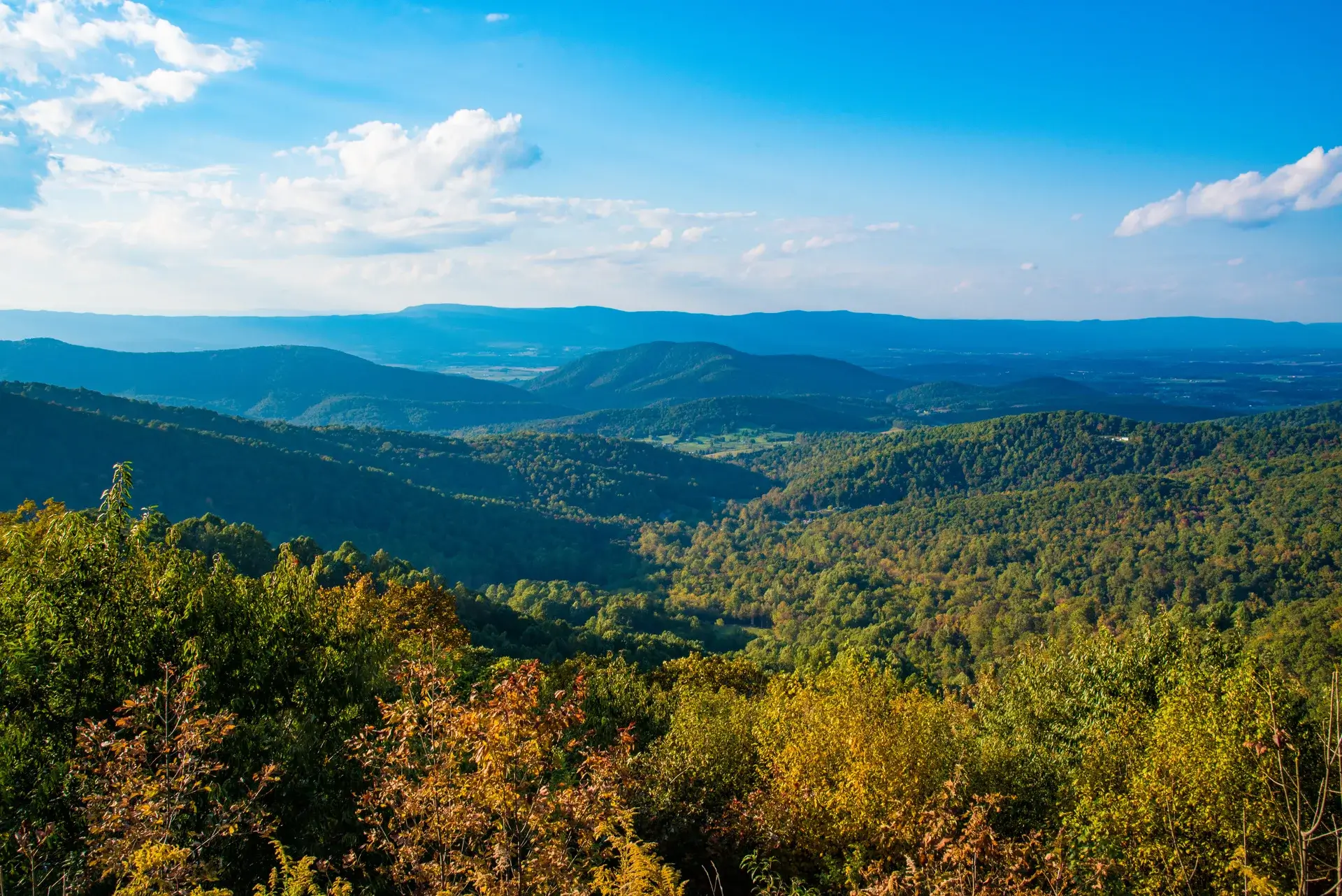 Shenandoah Valley Property Management